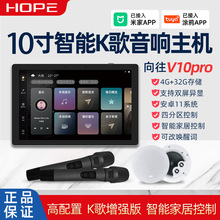 Hope向往V10pro智能家居中控主机K歌背景音乐WiFi吸顶音响控制器
