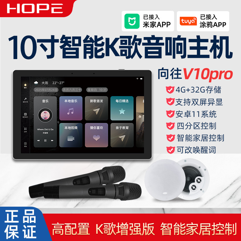 Hope向往V10pro智能家居中控主机K歌背景音乐WiFi吸顶音响控制器
