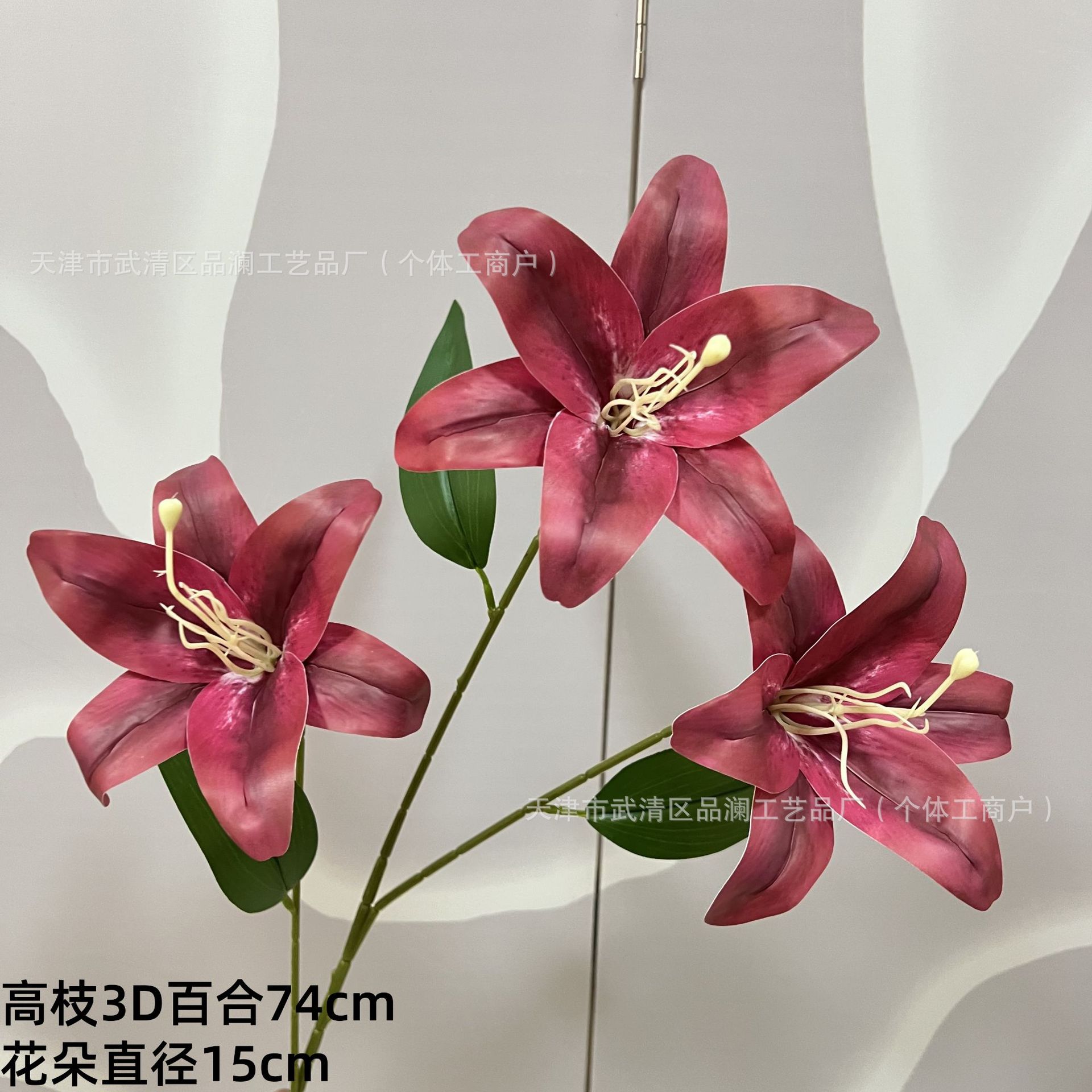 키가 큰 3D 백합