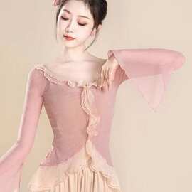 中国舞表演服现代舞练功服古典舞仙气飘逸舞蹈服长袖上衣女