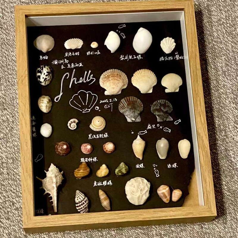 Three-Dimensional Hollow Mini Square Shell Photo Frame Table Immortal Flower Dried Flower Picture Frame DIY Handmade a 4316inch