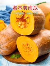 正宗红土新鲜老南瓜板栗味蜜汁贝贝南瓜农家宝宝辅食糯面甜蔬菜