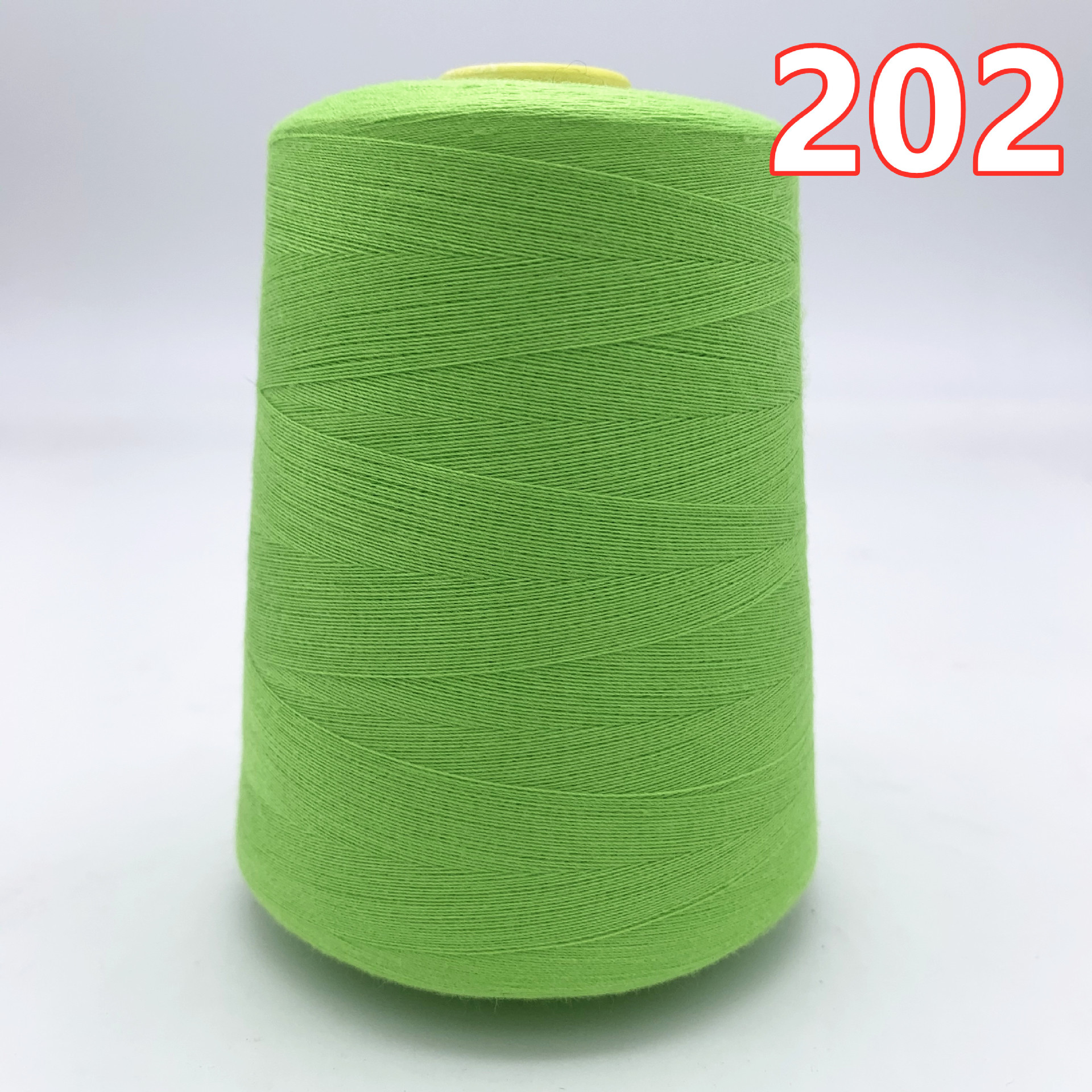 라이트 그린 202