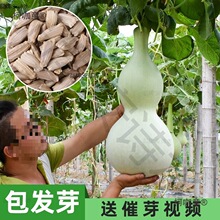 ����J�N�Ӿ��ͺ��J��...��̫��