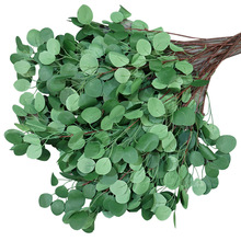 ��c�Gֲ���滨���ߘ��~�����b����~ɭϵ�G���ĵ��֧�b10�~��