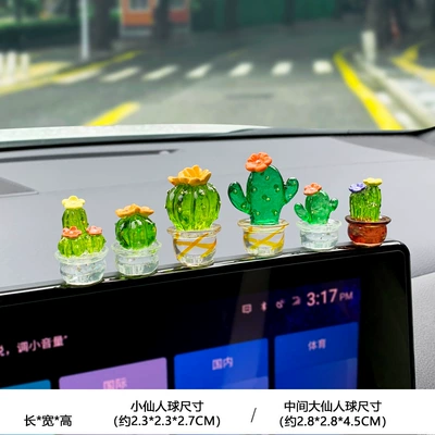 Rearview Mirror Navigator Center – Car ornaments - pack-of-6-transparent-potted-plants