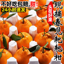 ��Ҋ�ҰҸ��������θ̽�����̽������𮔼����rˮ��������]