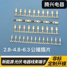 供应2.8-4.8-6.3压线公端 110-187-250公端插片横带直插端子