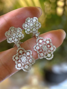 Platinum High-End Jewelry Pt950 Platinum Inlaid 1 Carat Earrings Jewelry Douyin Wholesale Dropshipping