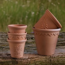 �t�ջ�����������ϙ�֦͸ˮ͸�ⲻ�������⻨��Gֲ��