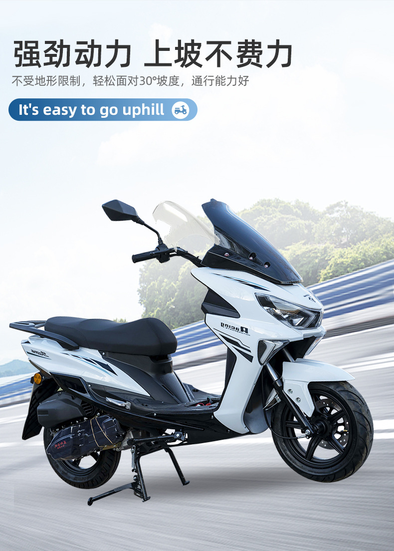 Sabretooth Tiger Motorcycle Cross-Border Export Is Exclusively for Adult Two-Wheeled Gasoline Vehicles, 150Cc Fuel Vehicles, Motorcycles for Off-Road Use