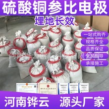 双陶瓷结构硫酸铜参比电极 埋地式断电电位自然电位检测装置