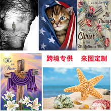 亚马逊跨境diy钻石画5D满钻十字绣贴钻家居装饰画货源现代简约