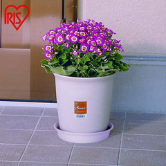 ElysPPResinRoundPlanterTrayZENThickenedPlanterTrayWaterReceiverCeramicPlanterTray