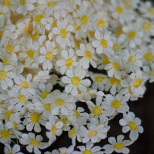 2.5���׌��SɫС�ջ��ٽz��߅�o��DIY�ֹ��b��Ϸ��b�Ʒ��߅��