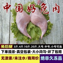 兔腿肉生鲜兔腿冷冻新鲜后腿肉兔后腿新鲜兔后腿冷冻下单现杀兔肉