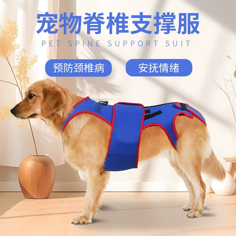 Трансграничные домашние животные Профилактический костюм для поддержки шейного отдела позвоночника