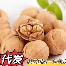 一件代发奶油核桃新货薄壳新疆特产孕妇零食核桃