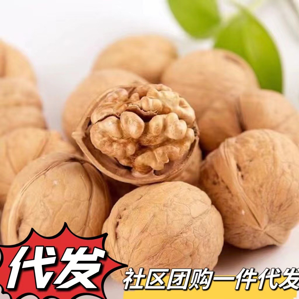 一件代发奶油核桃新货薄壳新疆特产孕妇零食核桃
