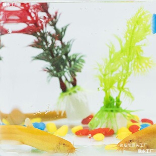 ���q��ˮ��ˮ�^�p�~���S������q���坍���߾����~����B����p