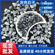 灰色石子厂家批发灰色砾石卵石水洗石庭院铺路建筑工程用灰色石子