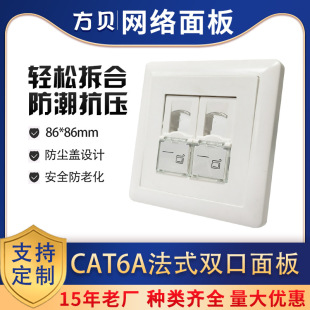 Fangbei Wholesale Category 6 86*86mm Network Angled Panel Socket Cat.6A French Double-Port Tool-Free Module