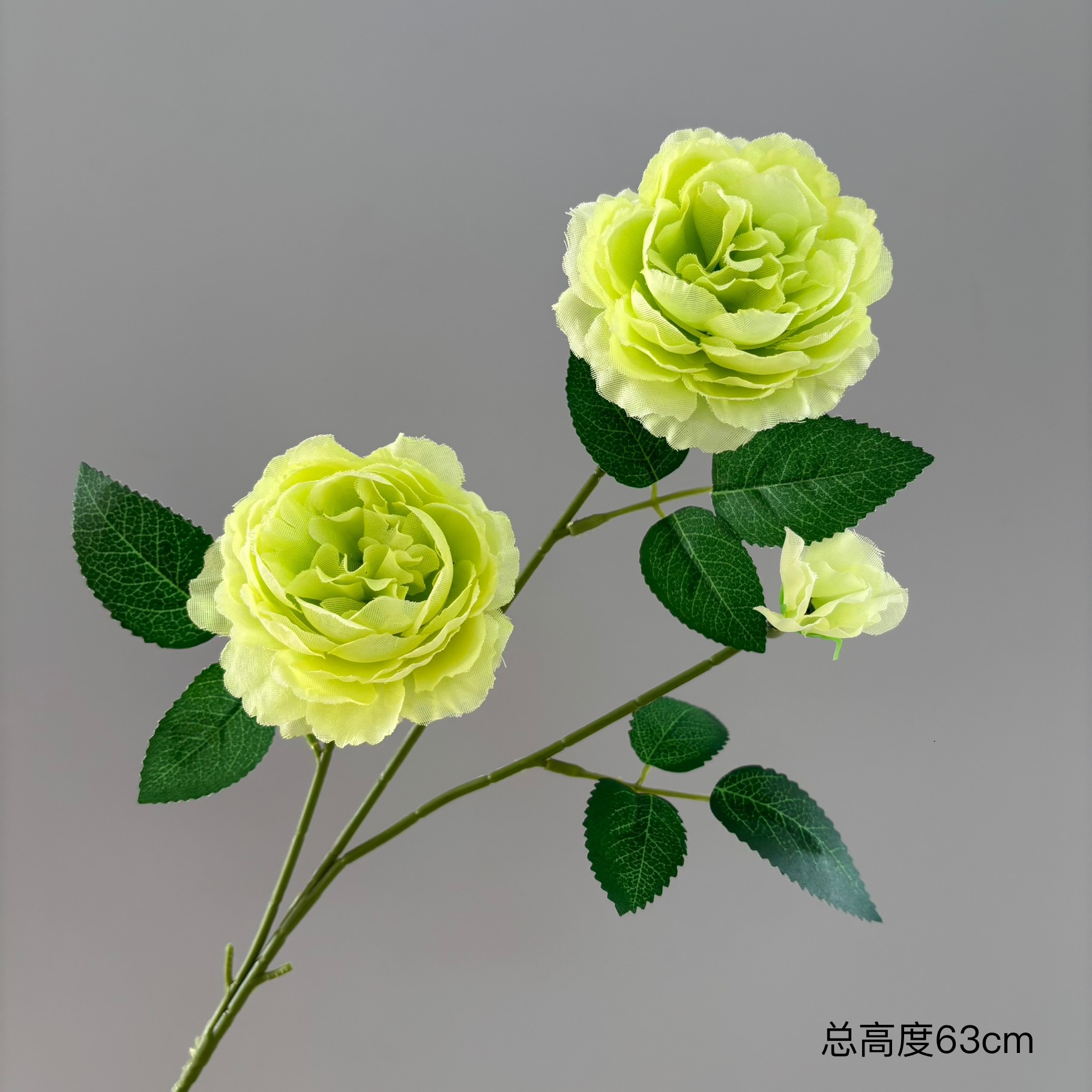 녹색