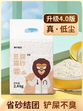 ԭζ؈ɰ����ɰ�ɛ_����؈ɳ�ڳ������͉m�Y�F���]����10؈����Ʒ