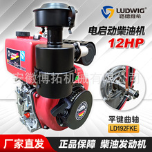 厂家单缸风冷柴油机192FKE 碎枝机微耕机平板夯农用发动机头单机