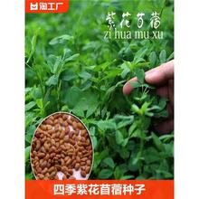 ϻޣݷNݷNļιţ~ݷNѴ߮aNֲBֳ