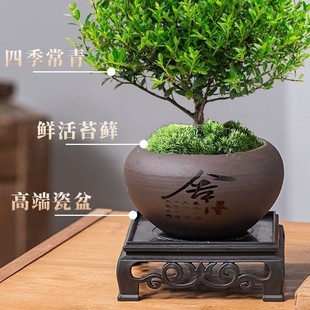 ��z�ľС�~����辰�Ϙ������绨���k���҃�����С�Gֲ���B�ļ�