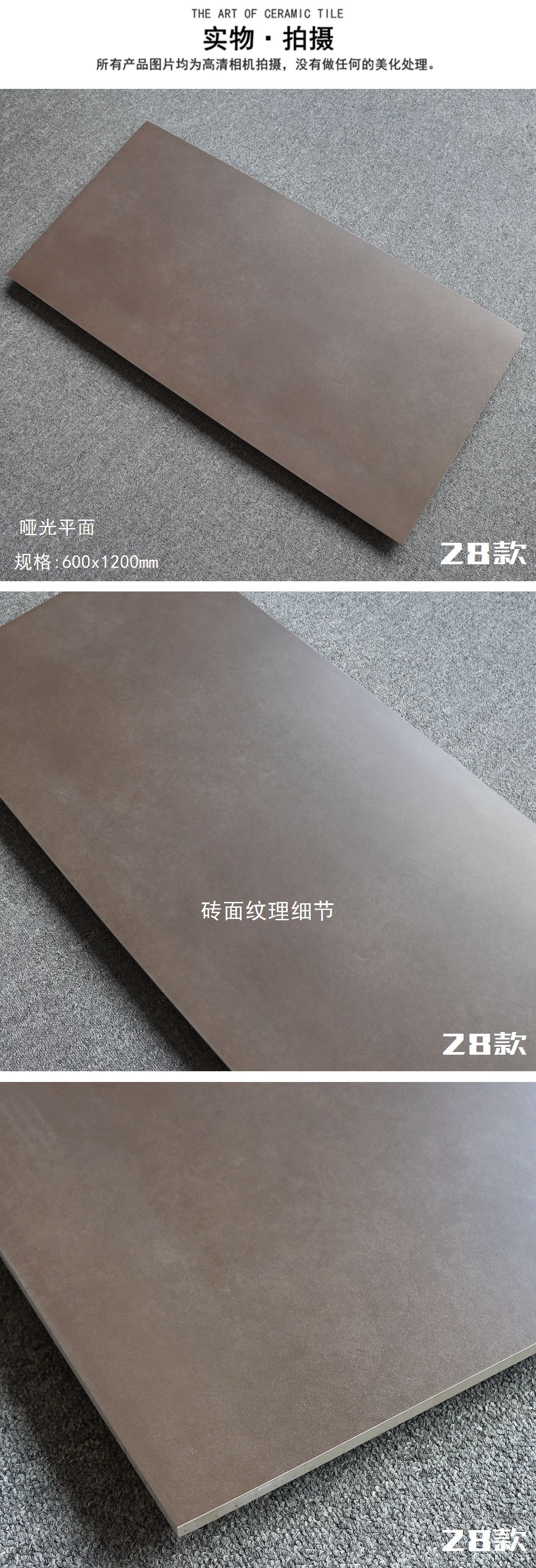 28-CY12029.jpg
