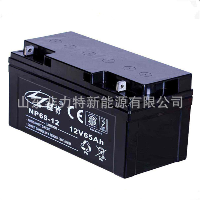 蓝肯蓄电池NP40-12 12V40AH精密仪器 煤矿 电厂备用铅酸电池