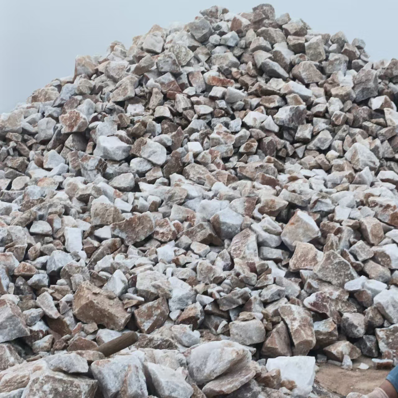 微信图片_20240912102636