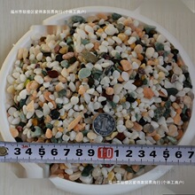 ⻨BɫСʯB~NҊɫҊʯ^ɰɫ