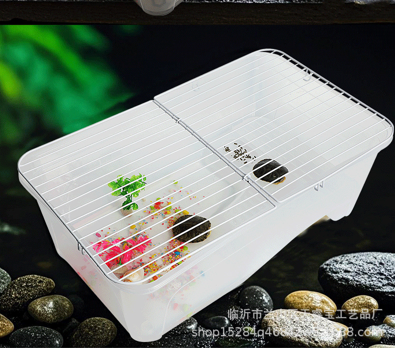 乌龟缸_19.png