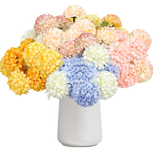 ���W�L���滨7�^�����R���� ������c�b�ƷINS�L����Ҿ�õ��