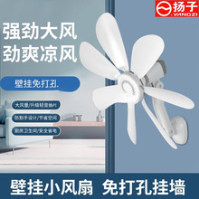 2025���ȱڒ�ʽ�N��С�L�����׼����l���g����젝��������L��