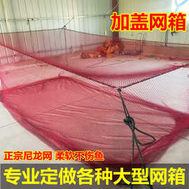 海洋养殖网箱 尼龙不伤鱼箱式抬网 养殖网存鱼养鱼抬鱼网新款上市