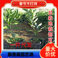 �����������������Ե��ԟo��ɰ�����ٳ��ٽ���ϱ����N����Y��