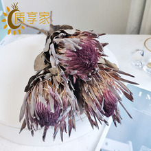 �S��ֱ�N�����ɻ����� �M����Ȼ�L���滨 �Ҿ��b[�O�ɻ����l