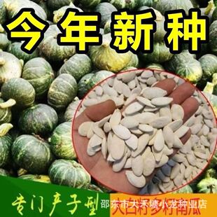 ���ڶ����ϹϷN�ӌ��T�a�ѵ��Ϲ�Ʒ�N�Ѹ߮a������׹��Ѵ����