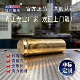 专业螺杆生产耐磨耐高温减震铜合金内六角臂头上滑块螺母螺纹套