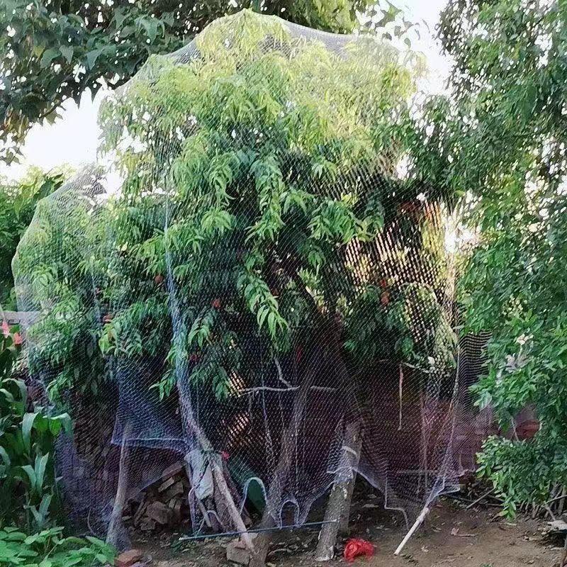 1fa27fa73854d8507a42741074ecb3