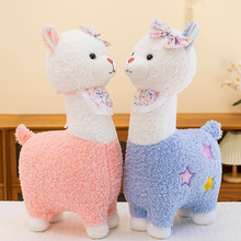 �羳�ɐۿ�ͨ���ȷ�����񄹫��Ȥζ��ż�������ε���ë�q����Y��