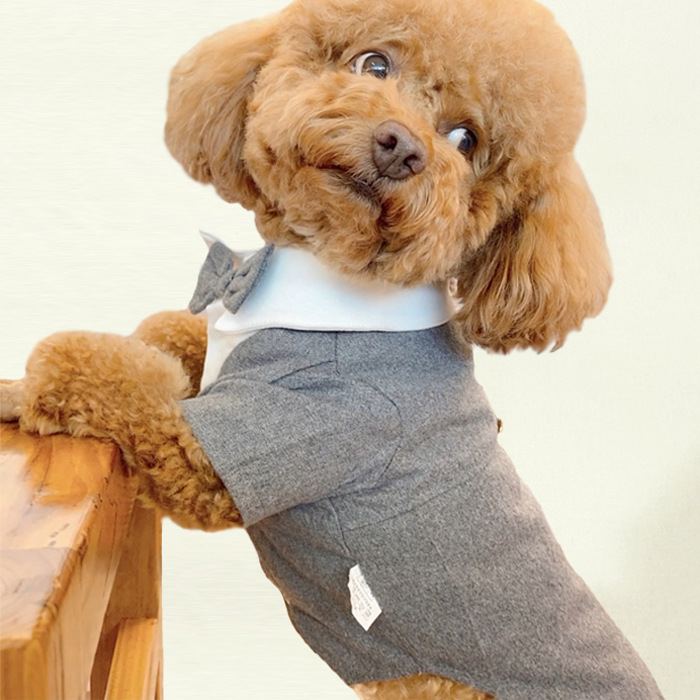 가을과 겨울 새로운 애완 동물 옷 고양이 개 옷 테디 베어와 다른 작은 개 세트 원피스 결혼식 원피스