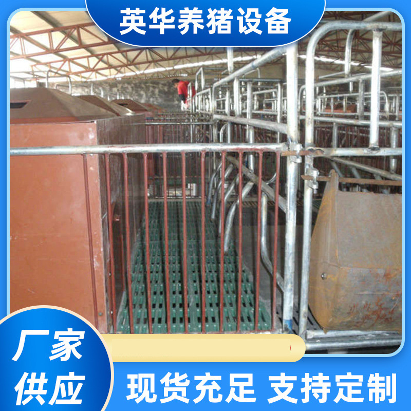 厂家供应 精密复合母猪产床 新型猪场母猪产床