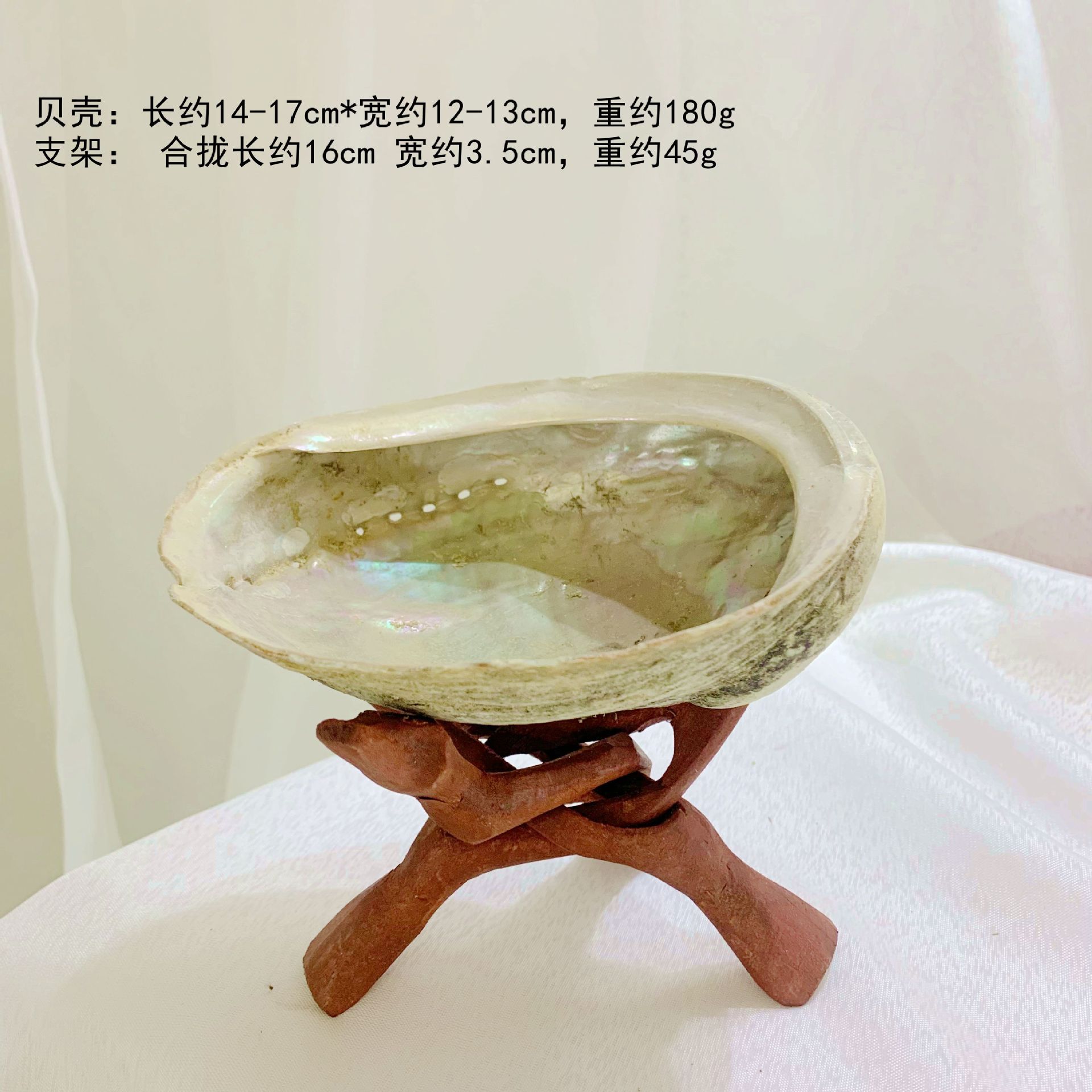 쉘 레드 신성한 우드 브래킷