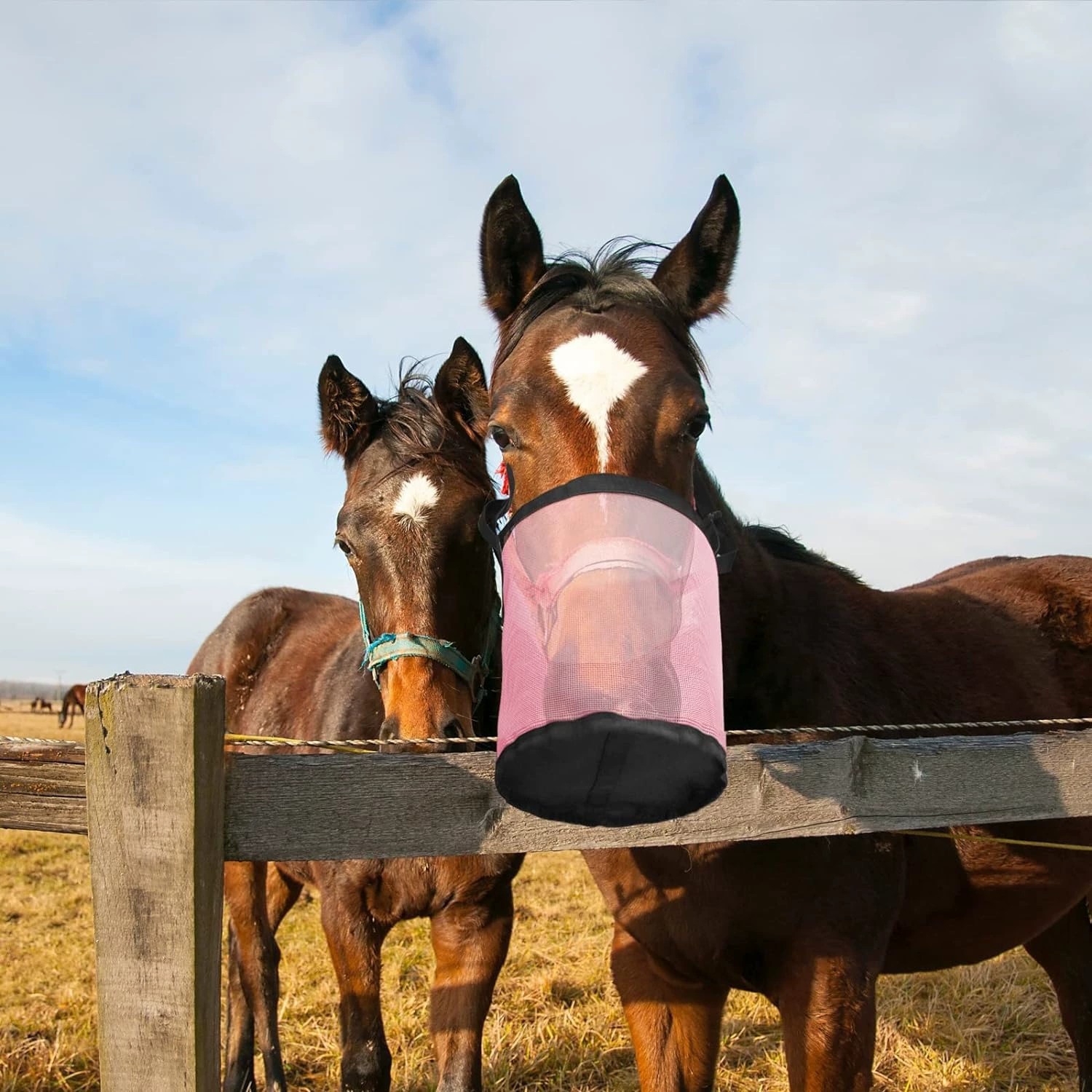 Новый трансграничный продукт, эластичная регулируемая сумка для корма для лошадей, уличная подвесная сумка для кормления на шее, сумка для сена, доступная в нескольких цветах