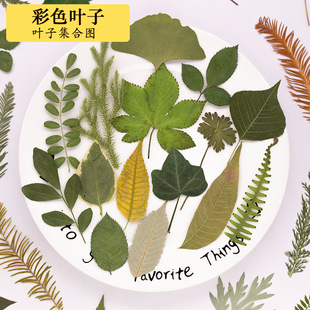 �ɘ��~ֲ��˱�����~diy�N���׃��@�ֹ�����̨��Ϟ�T�ɻ����